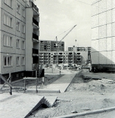 fot. Romuald Zielazek