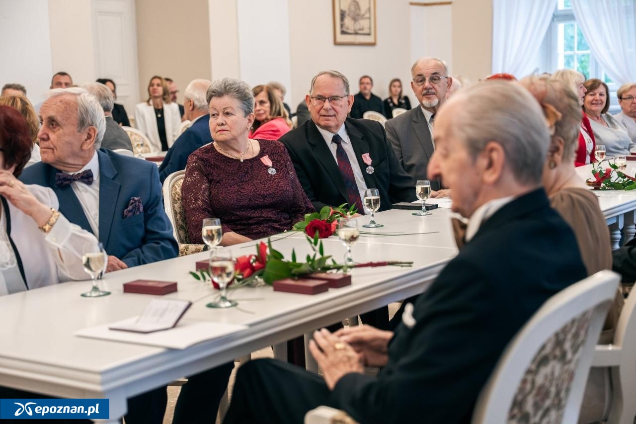 fot. UM Poznań