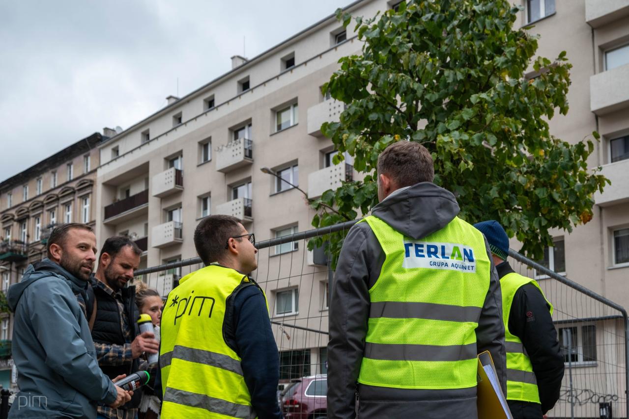 Przebudowa Ratajczaka: część drzew wytną, część przesadzą. Zielone torowisko w okolicy i "żywe" dachy przystanków