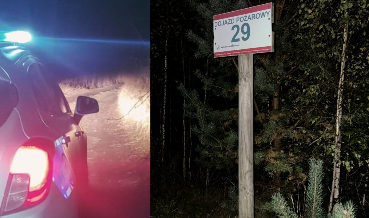 Przez nawigację motocyklista z Poznania nocą pojechał leśnym skrótem, skończyło mu się paliwo. Na pomoc ruszyli policjanci