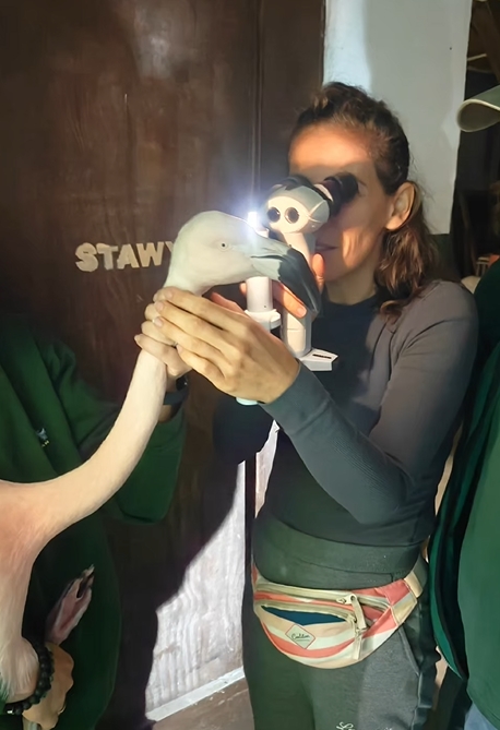 Wyjątkowi goście w poznańskim ZOO. "Współpraca przynosi korzyści obu stronom"