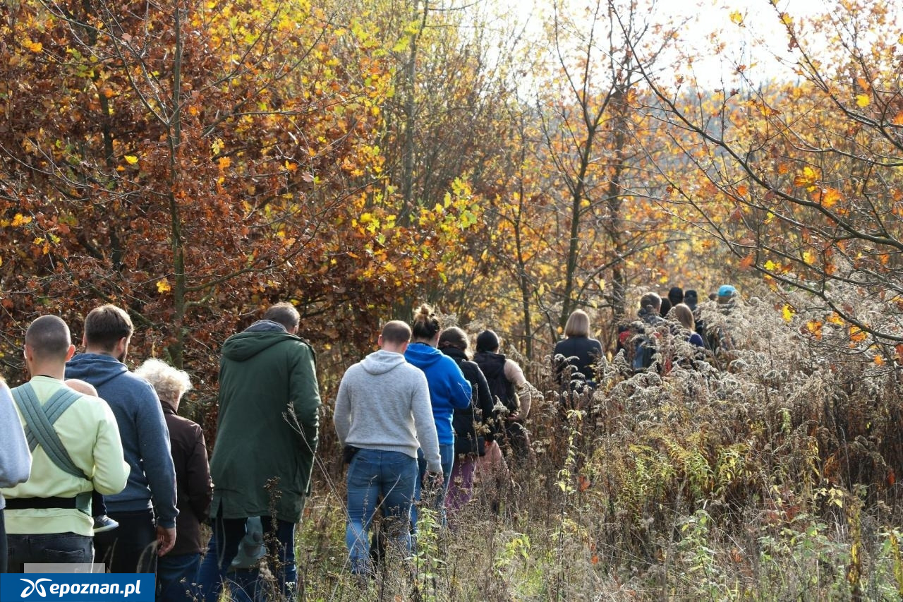 W Poznaniu wybiorą się na spacer w poszukiwaniu bobrów. Uczestnicy muszą pamiętać o odpowiednim stroju
