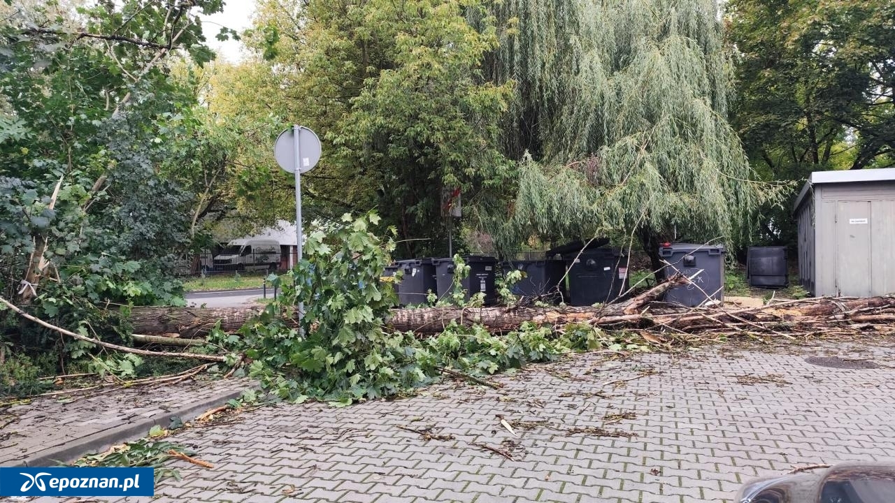 fot. Czytelnik