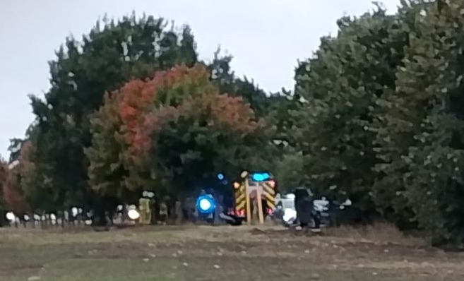 Wypadek w powiecie poznańskim. Kierowca samochodu wjechał w drzewo