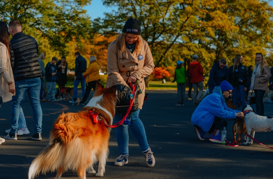 W Poznaniu przejdzie marsz właścicieli i miłośników psów. "Krzywdzenie zwierząt nie przejdzie"