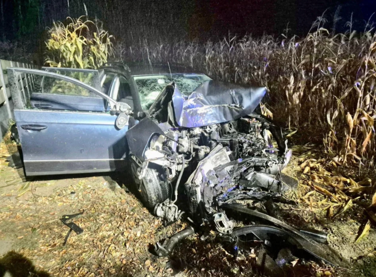 Fatalny wypadek w regionie. Osobówką wjechał w drzewo, strażacy musieli go wyciąć z wraku