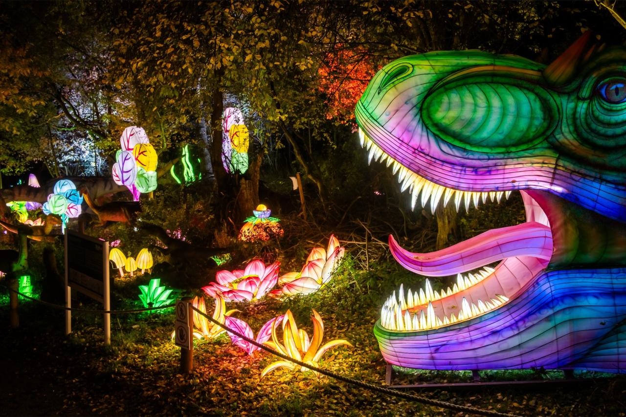 Wkrótce otwarcie parku iluminacji. Ceny wyższe niż przed rokiem!