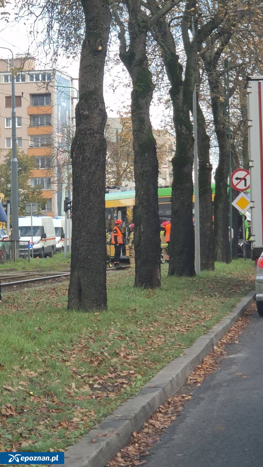 fot. Czytelniczka