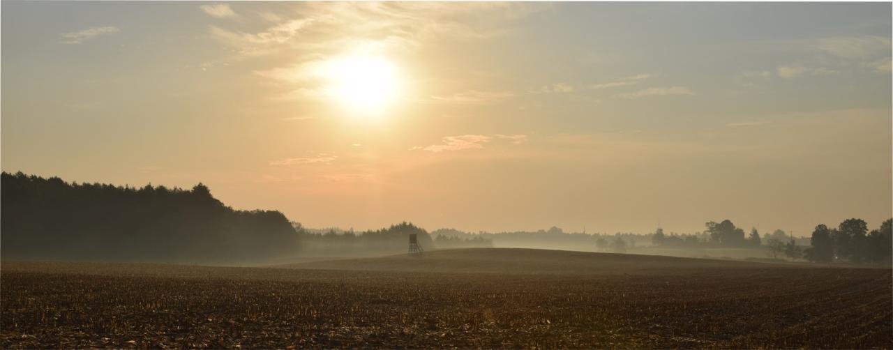 W podpoznańskiej gminie zawyją syreny. Jest apel!