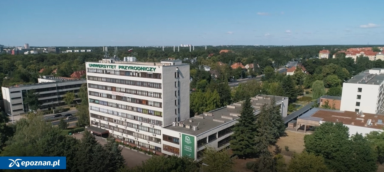 Poznańska uczelnia otwiera drzwi. Będzie okazja zobaczyć "życie studenckie od kuchni"