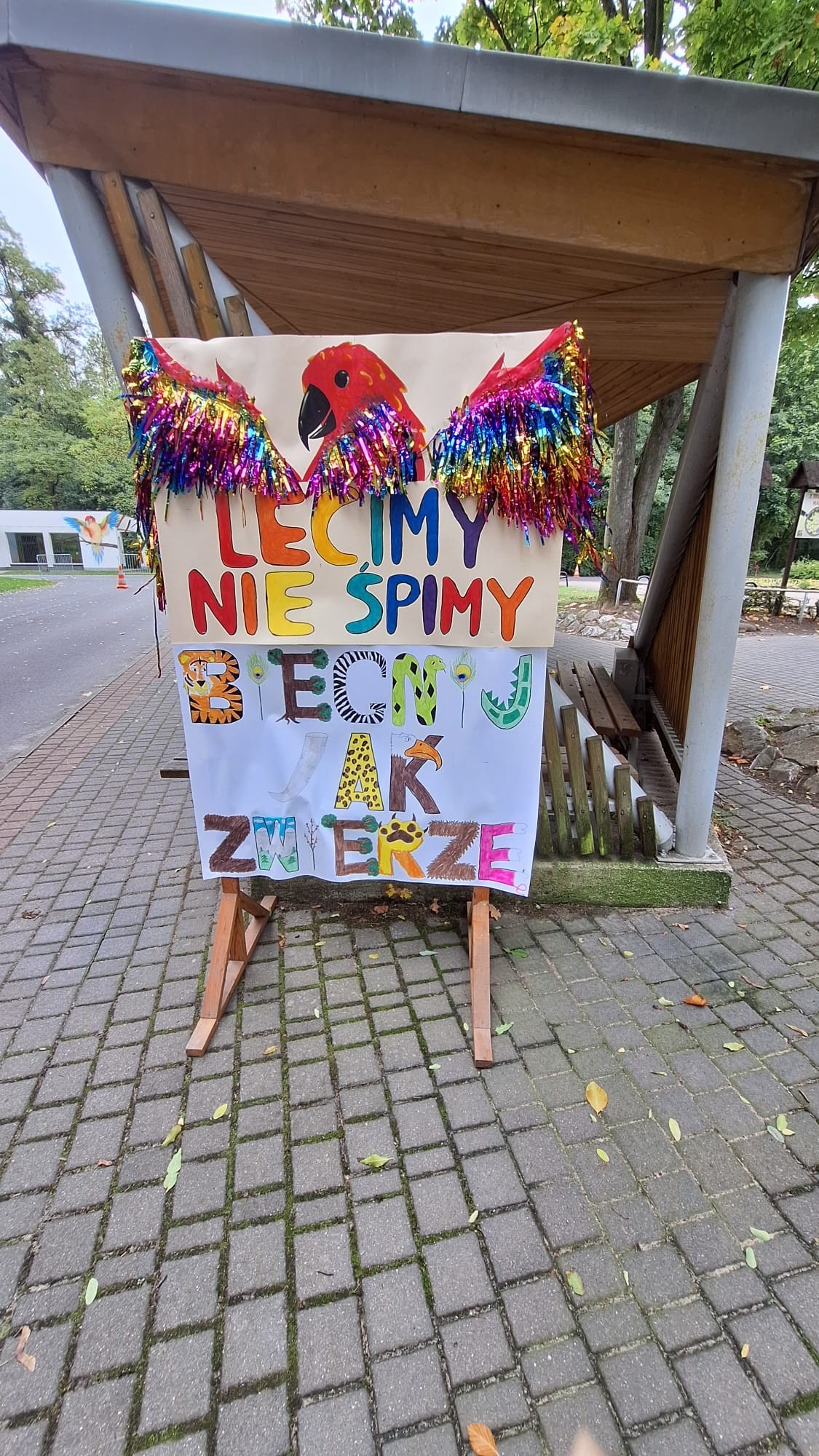 Poznańskie ZOO wydało oświadczenie w sprawie niedzielnego maratonu, który przebiegł przez fragment ogrodu zoologicznego