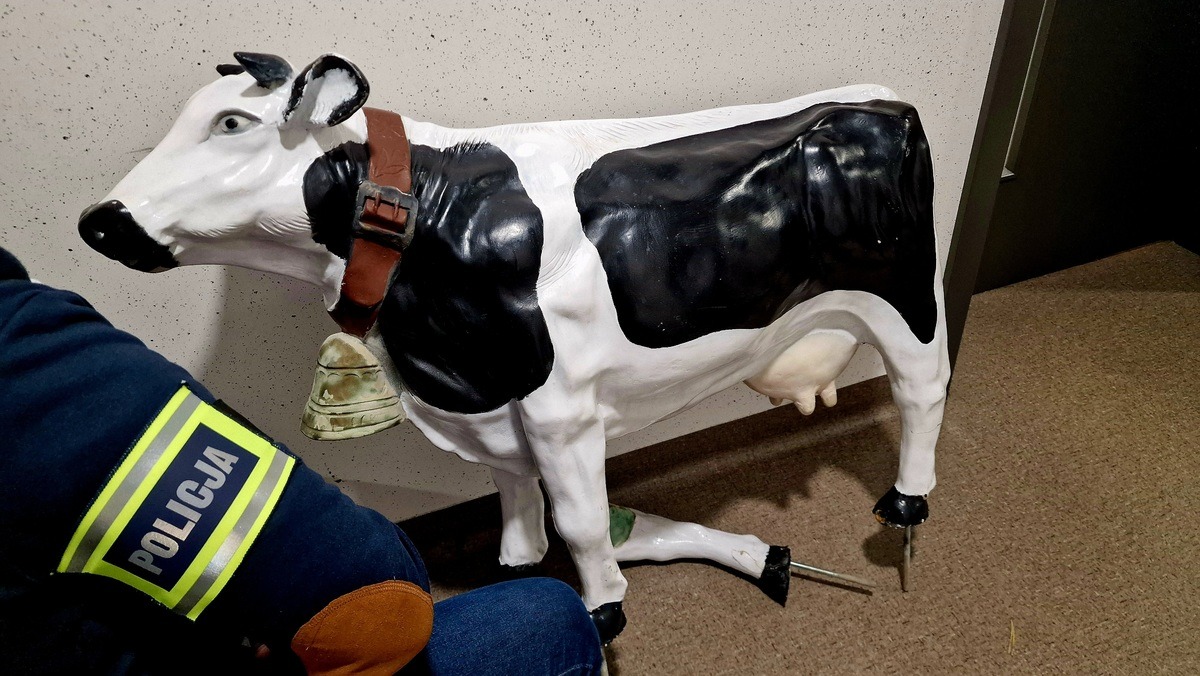 Ukradł krowę sprzed jednej z firm w regionie