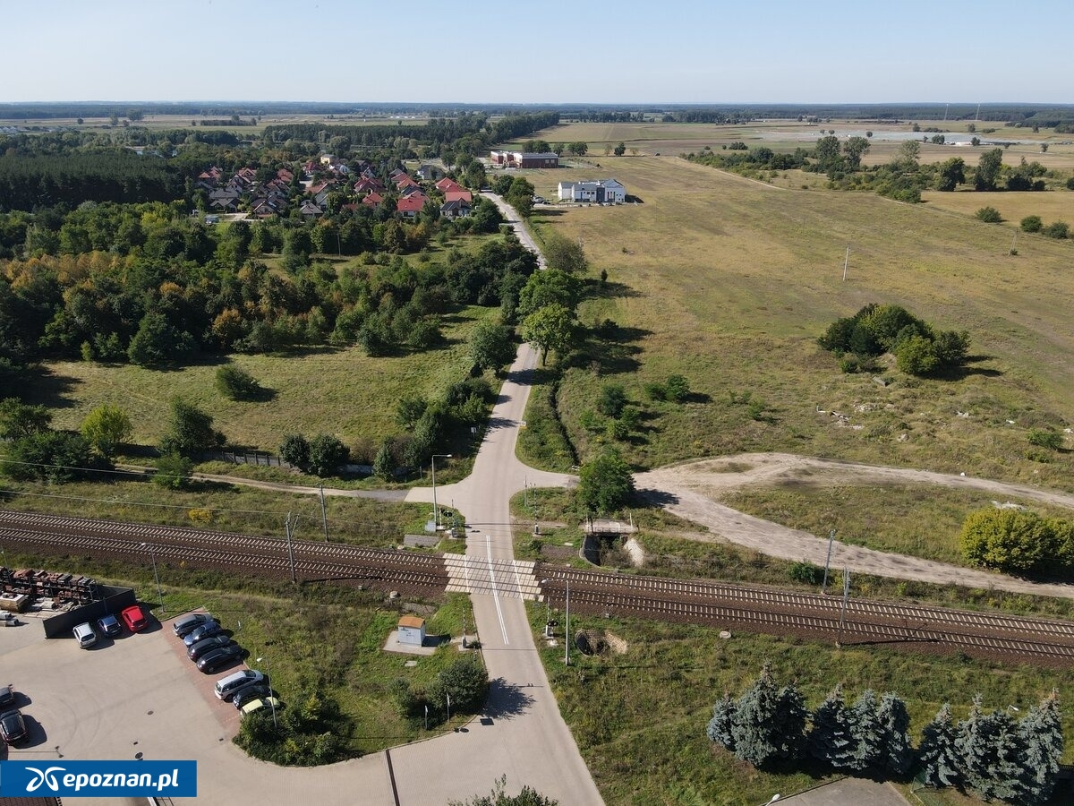 fot. UM Leszno