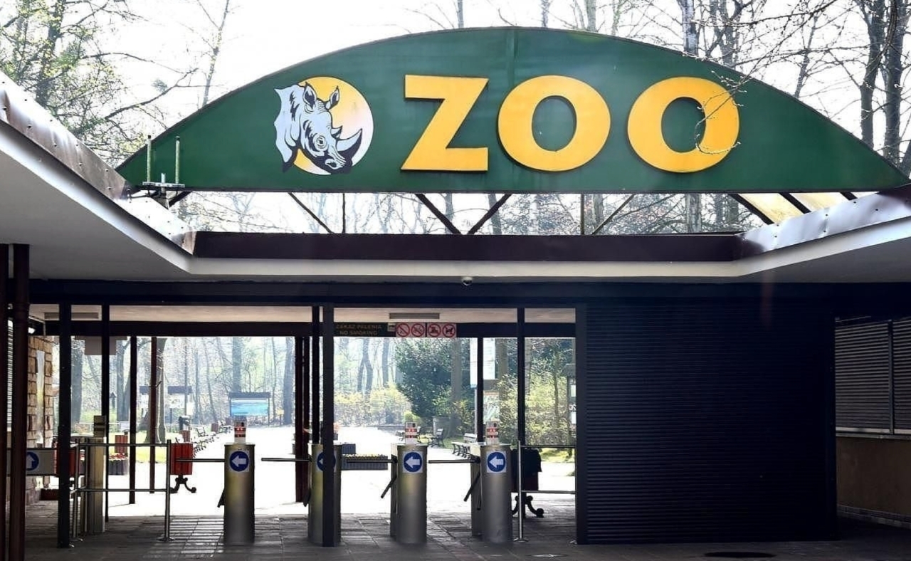 Pracownicy stają w obronie dobrego imienia poznańskiego ZOO. "Każdego dnia grupa osób obmyśla, jak poinformować, iż w naszym ZOO dzieje się bardzo źle"