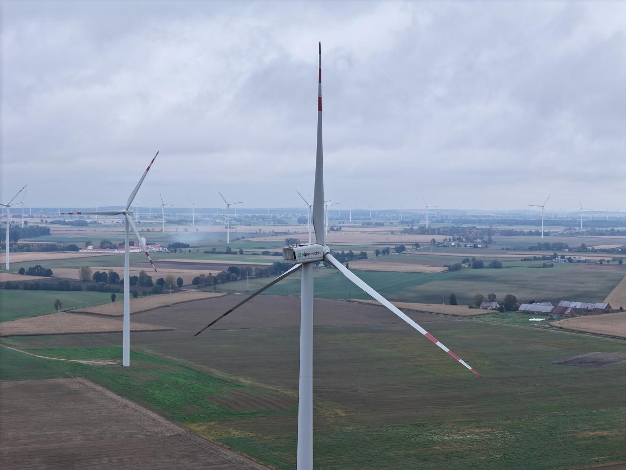 Wiatraki od 15 lat wpisują się w krajobraz jednego z miast w naszym regionie. "Przełomowy projekt"