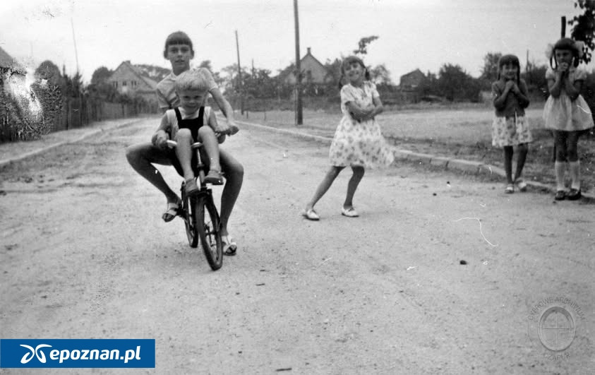 Wyjątkowy projekt w podpoznańskiej miejscowości. Dziś można zobaczyć pierwsze efekty
