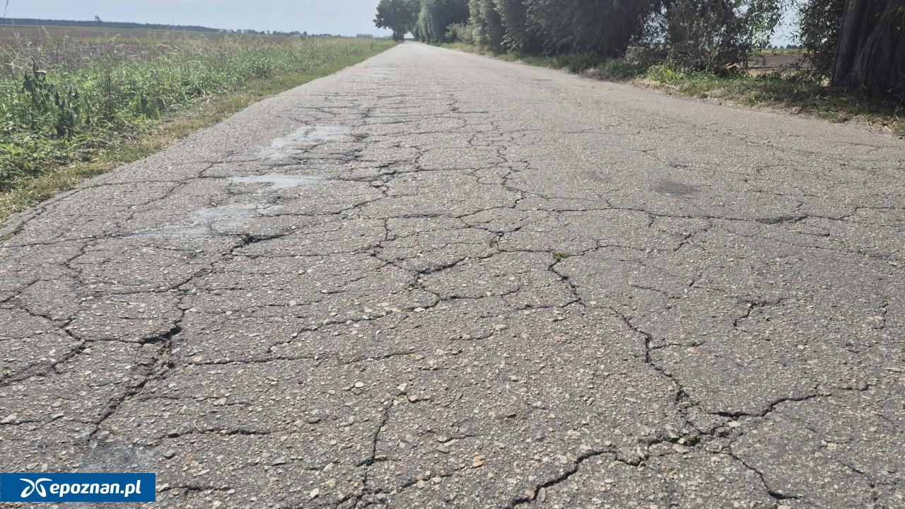 fot. Zarządu Dróg Powiatowych w Poznaniu