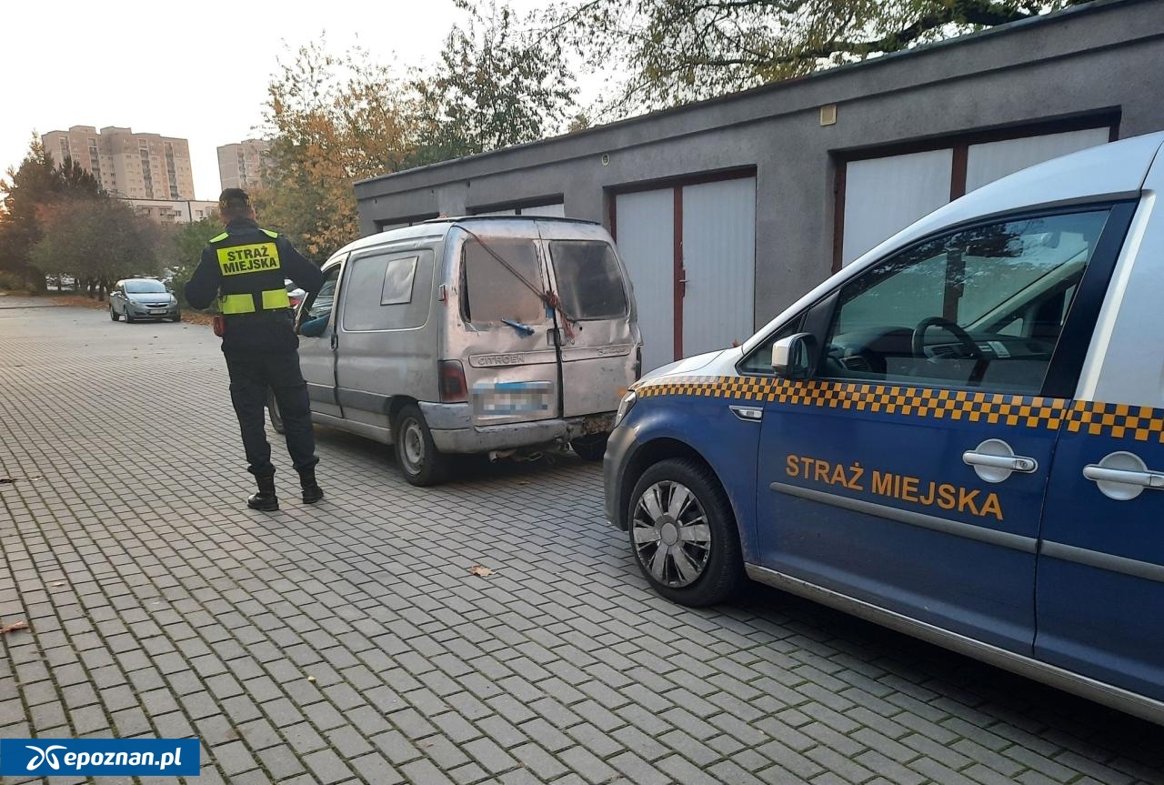 fot. Straż Miejska Miasta Poznania