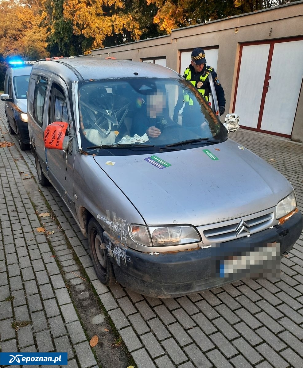 fot. Straż Miejska Miasta Poznania