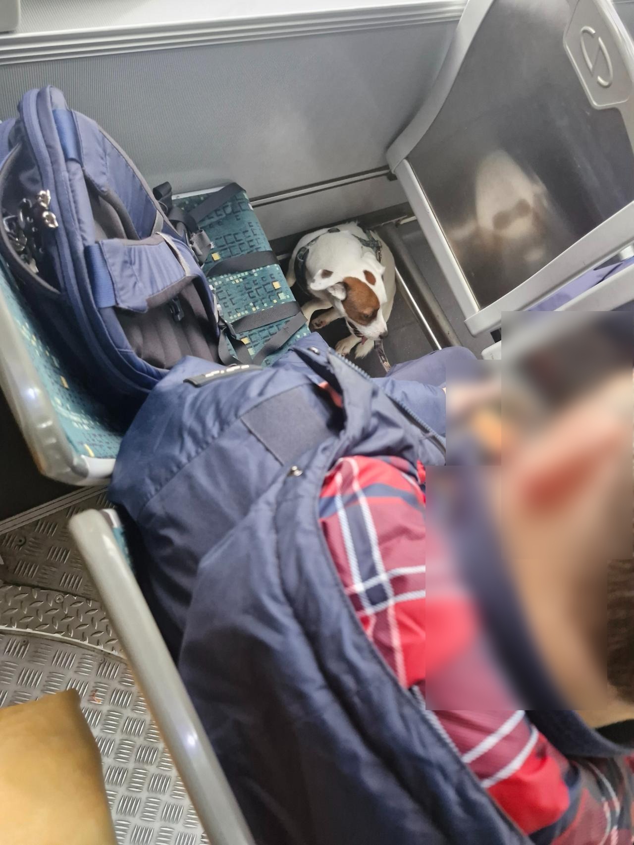 Wiózł w tramwaju na siedzeniu "święty plecak" podczas, gdy inni nie mieli gdzie usiąść. "Piętnastka była przepełniona"