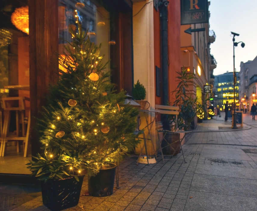 Przedsiębiorcy ze śródmieścia mogą już zgłaszać się po darmową choinkę