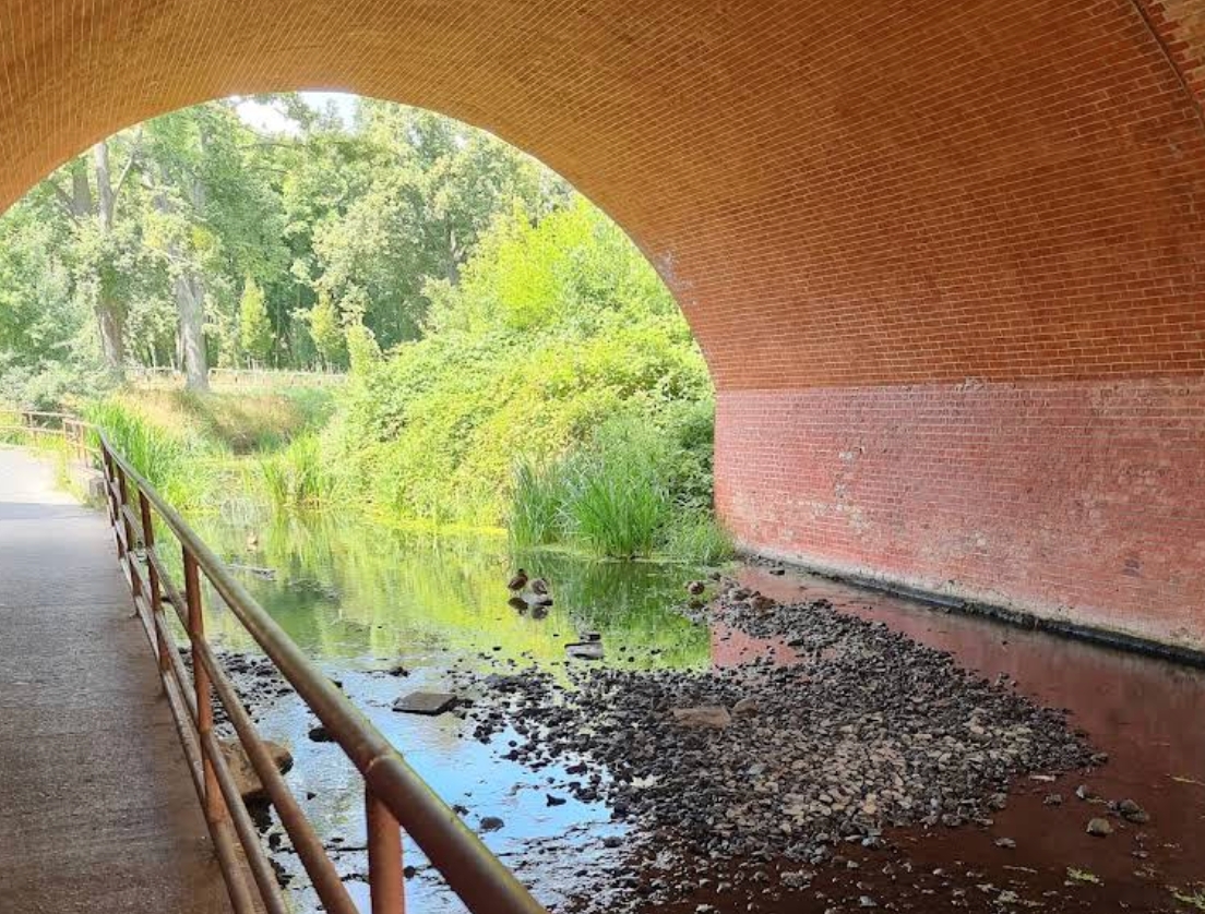 Wpadł do rzeczki przy miejskim parku w regionie, 37-latka nie udało się uratować