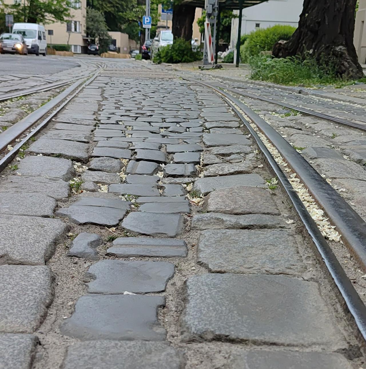 Wjechała w dziurę na poznańskiej ulicy, przewróciła się na rowerze. Poszukiwani świadkowie