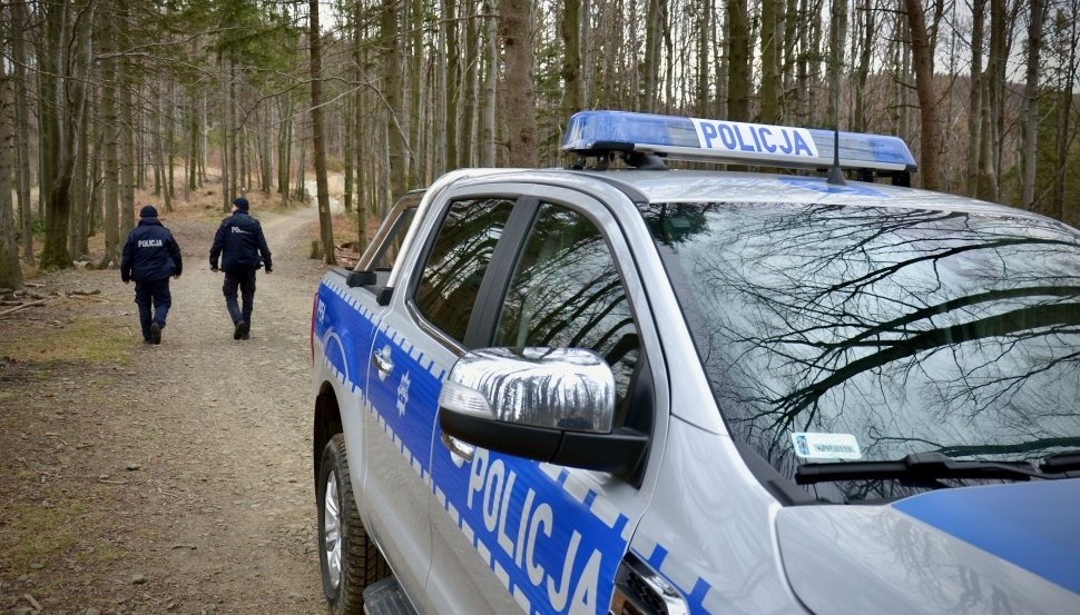 Region. Spacerowali po lesie, podbiegły do nich dwa bulteriery. Ośmiolatek w szpitalu