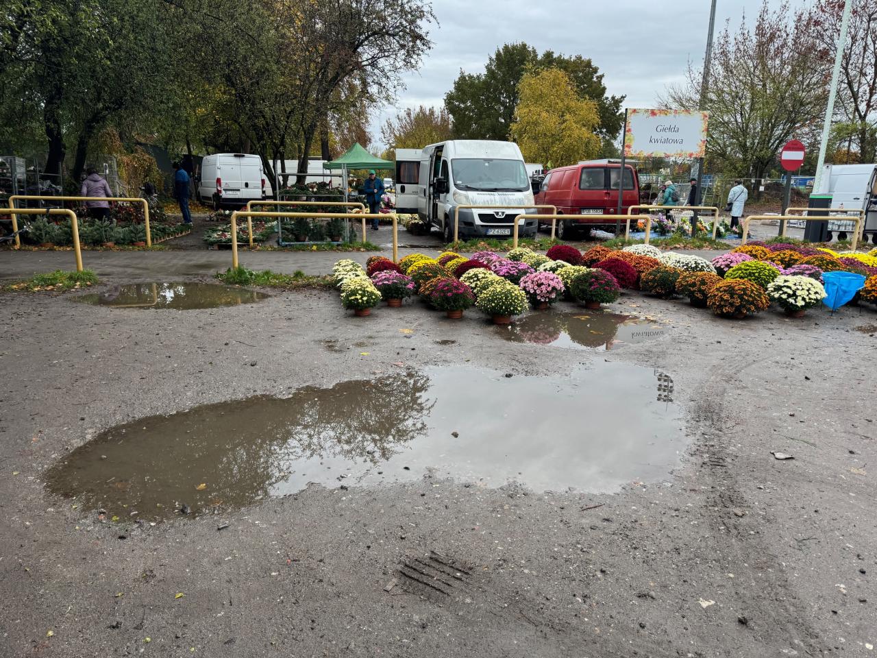 Klientka oburzona warunkami na poznańskiej Giełdzie Kwiatowej. "To jest skandal"