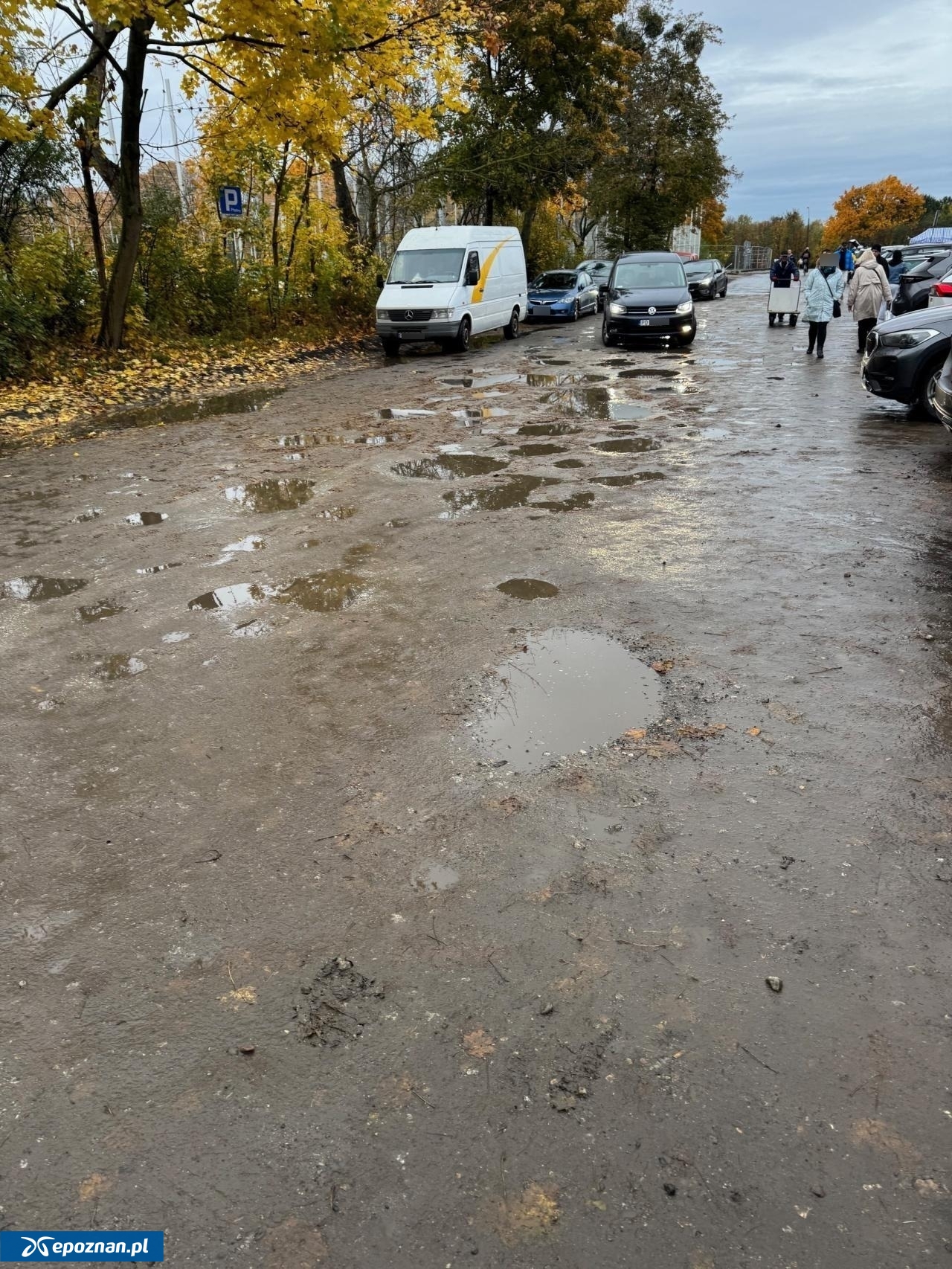 fot. Czytelniczka