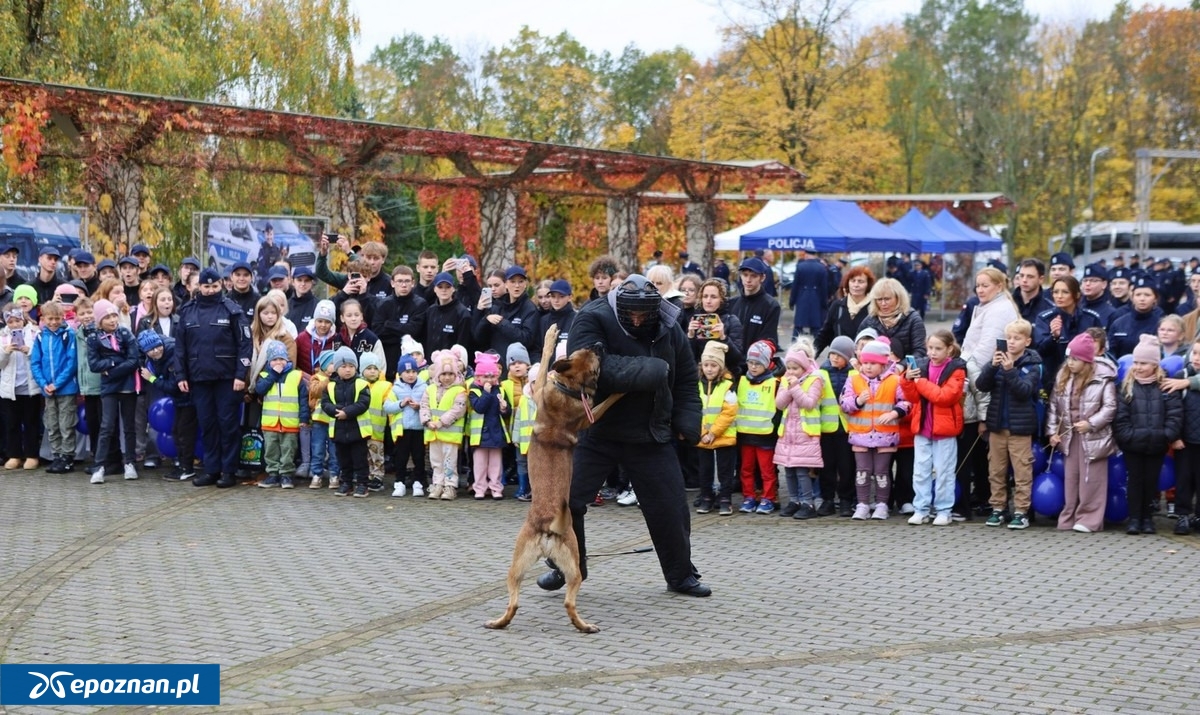 fot. Wielkopolska Policja