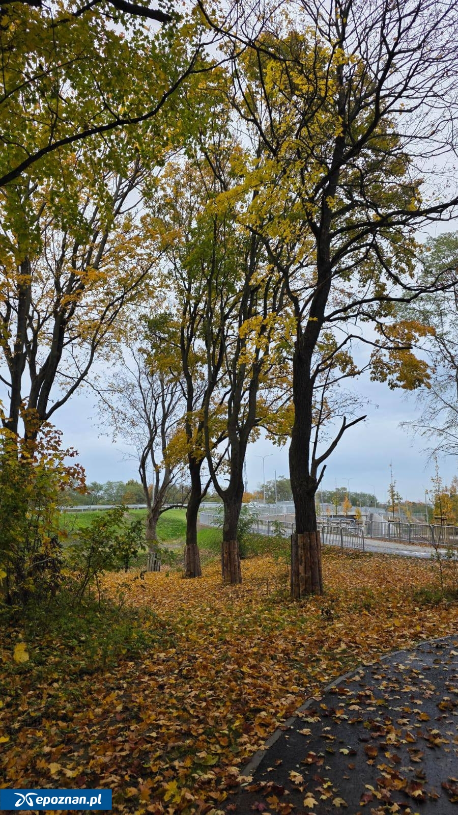 fot. Mariusz Wiśniewski / FB