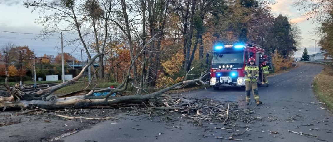 Za nami wietrzna noc w Wielkopolsce, najwięcej zgłoszeń z Poznania