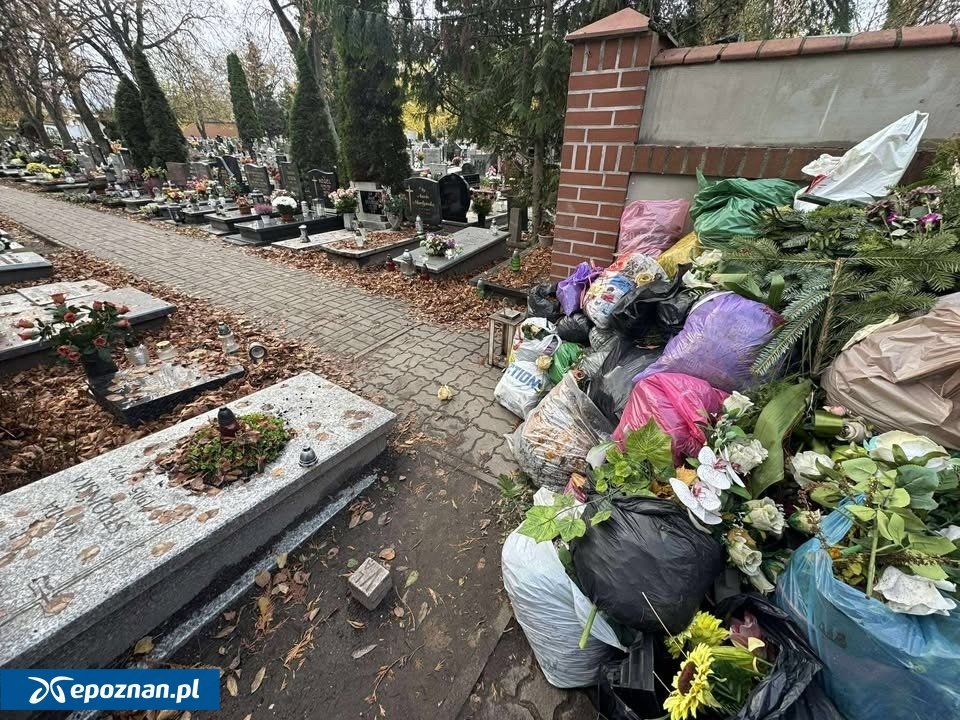 fot. Czytelniczka