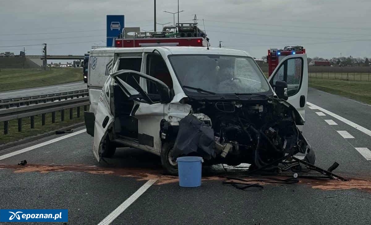 fot. Wiescizokolicy.pl