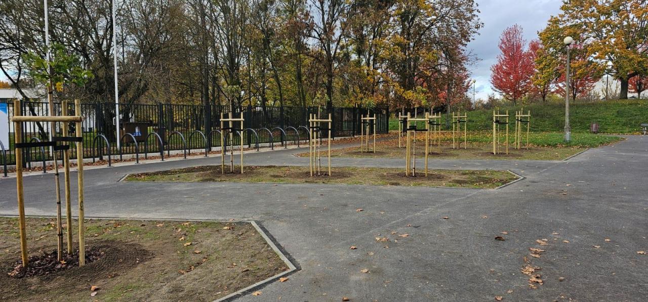 Odbrukowali plac przy poznańskiej pływalni. "Przekształcamy betonowe przestrzenie w miejsca przyjazne mieszkańcom."
