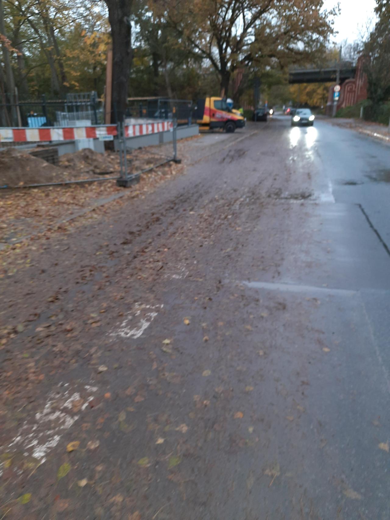 Poznańska ulica tonie w błocie. "Interwencje skutkują postawieniem praktykanta z miotłą."