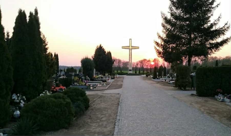 Kobieta na wózku inwalidzkim pozostawiona pod śmietnikiem przy cmentarzu. "Bez jedzenia i wody"