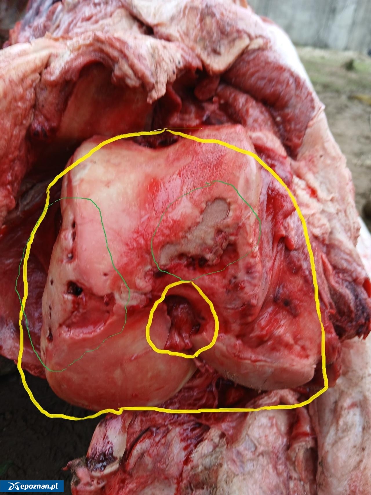 fot. Piotr Przyłucki / FB