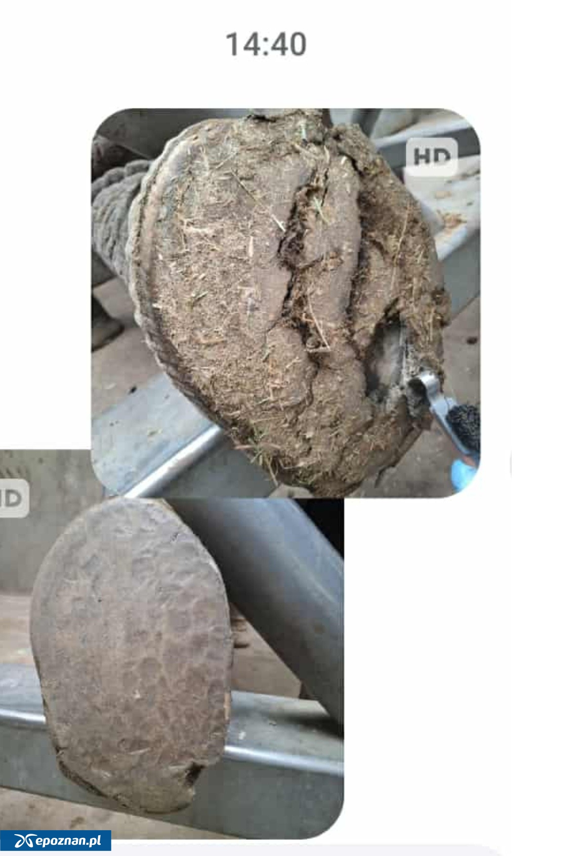 fot. Piotr Przyłucki / FB