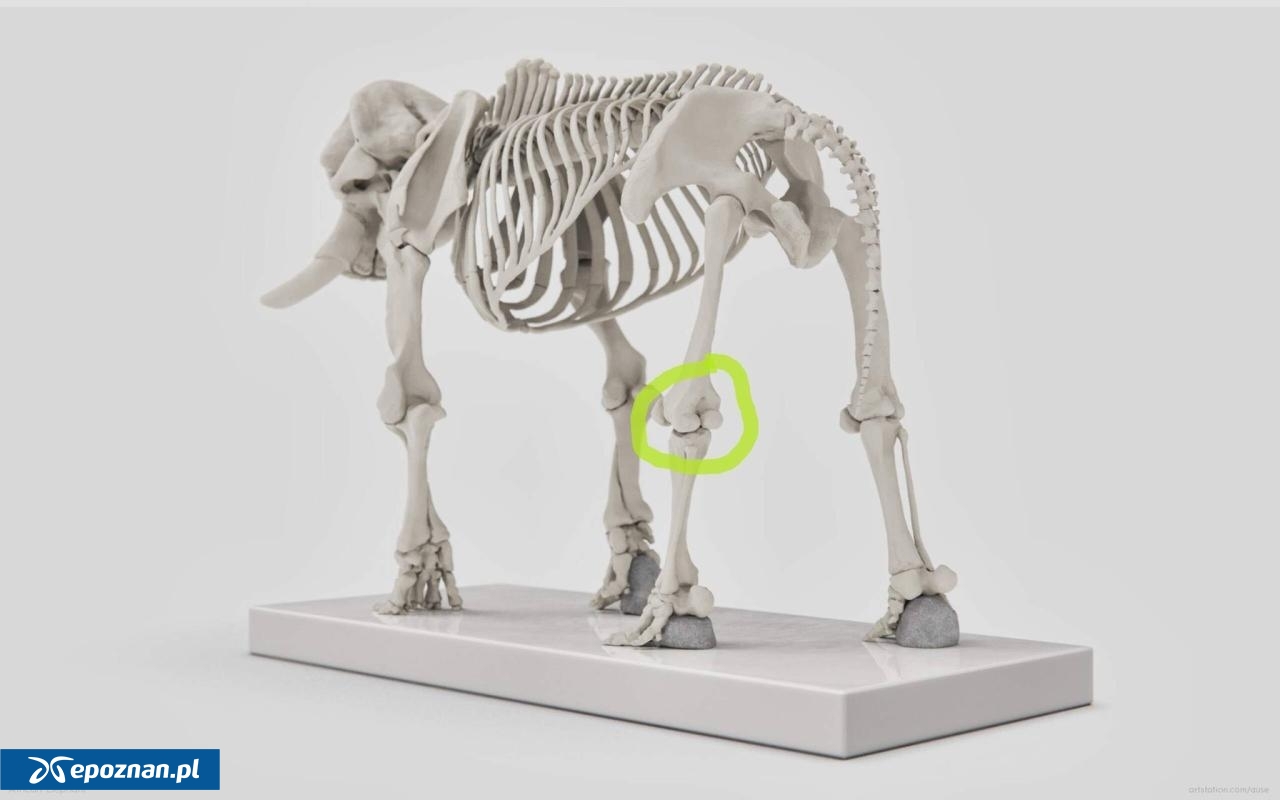 fot. Piotr Przyłucki / FB