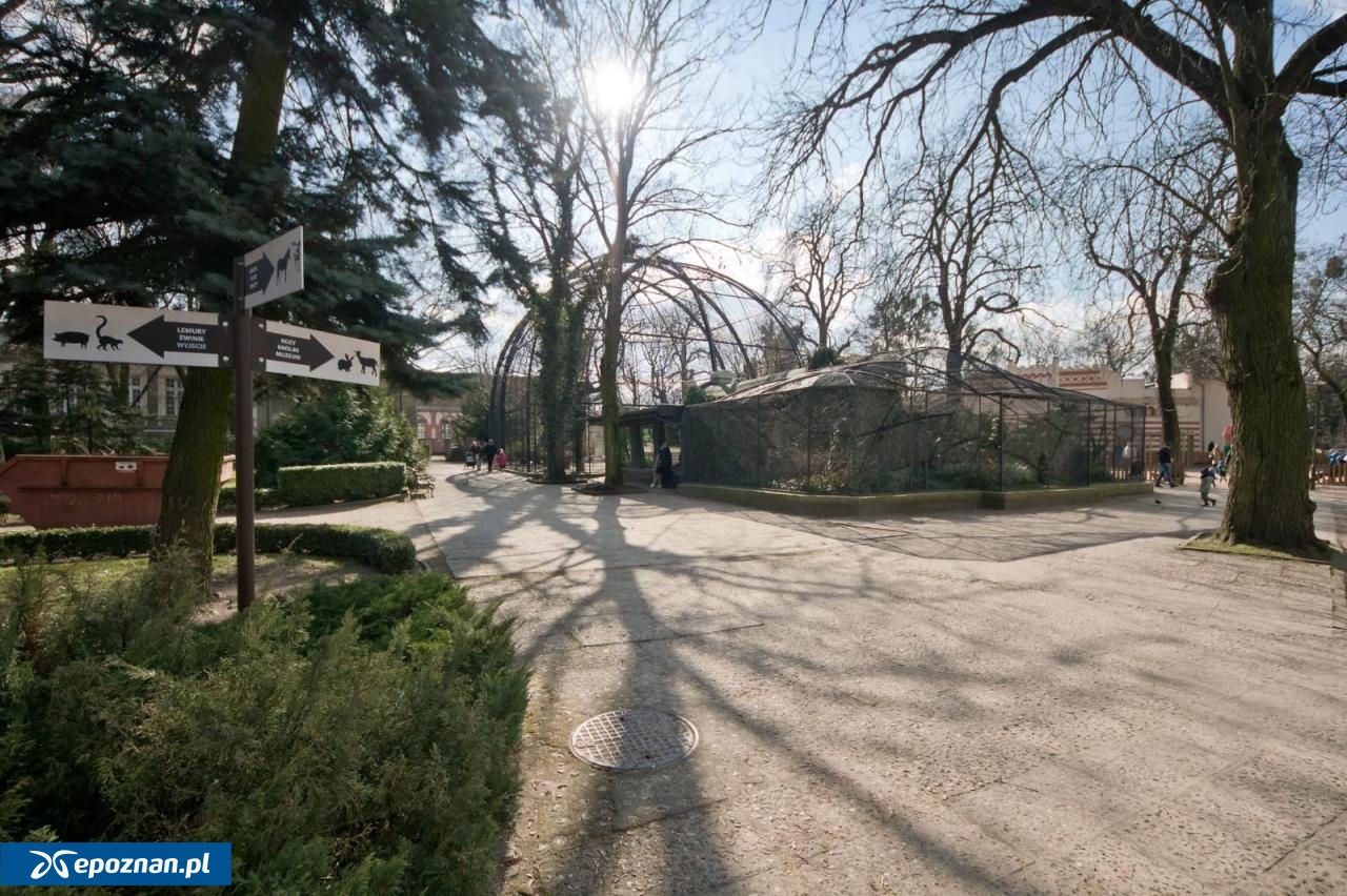 zdjęcie ilustracyjne, archiwum | fot. Maciej Kopiński