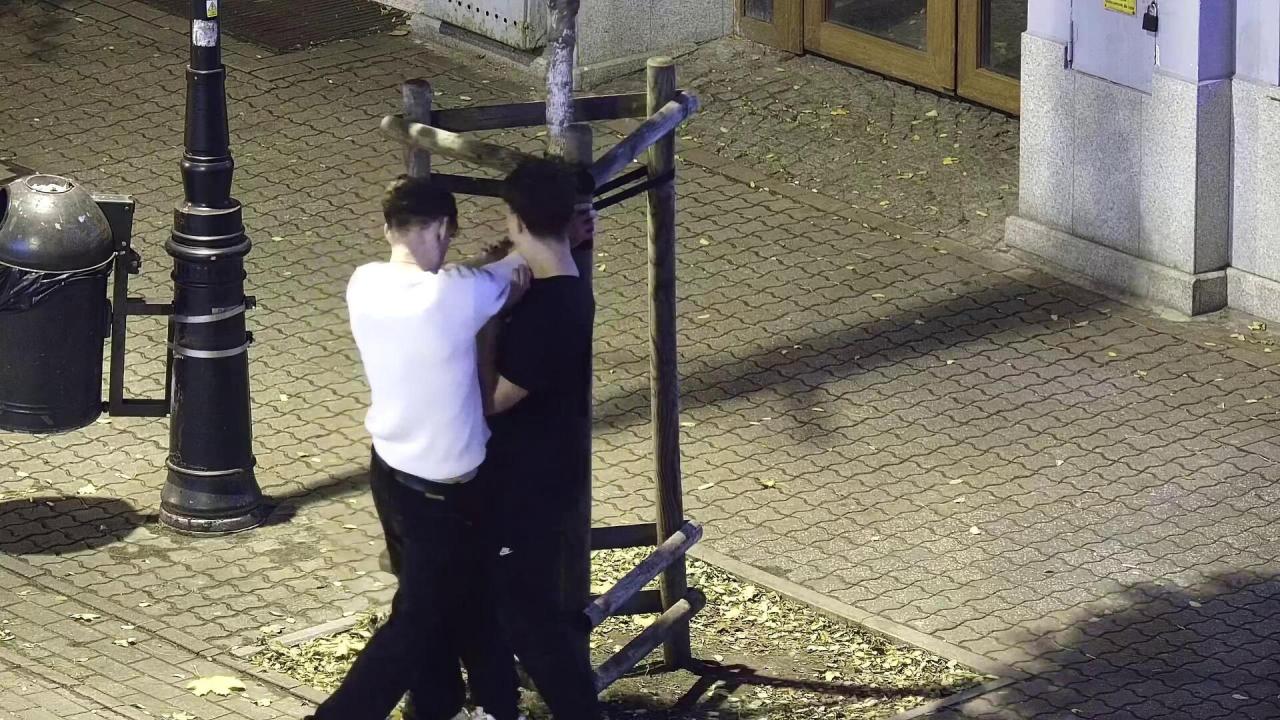 Idiotyczne zachowanie w centrum Gniezna. Zniszczyli młode drzewa, sikali przy kamienicy, pokazywali obsceniczne gesty do policjantów