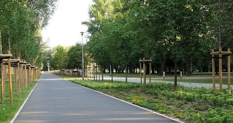 Koniec korzystania z parkowych zarośli? W popularnym parku ma stanąć toaleta