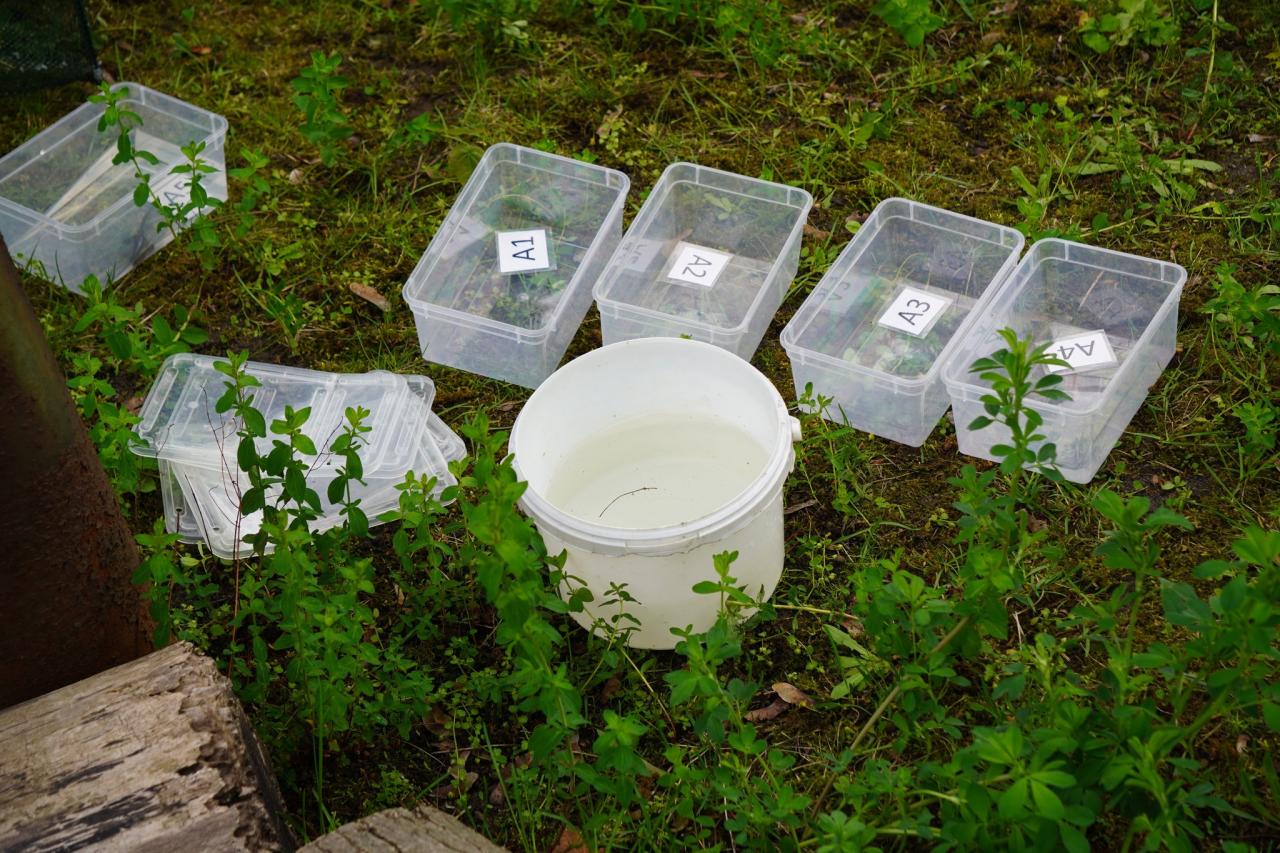 Niezwykłe odkrycie w poznańskim ZOO. Są nowe informacje