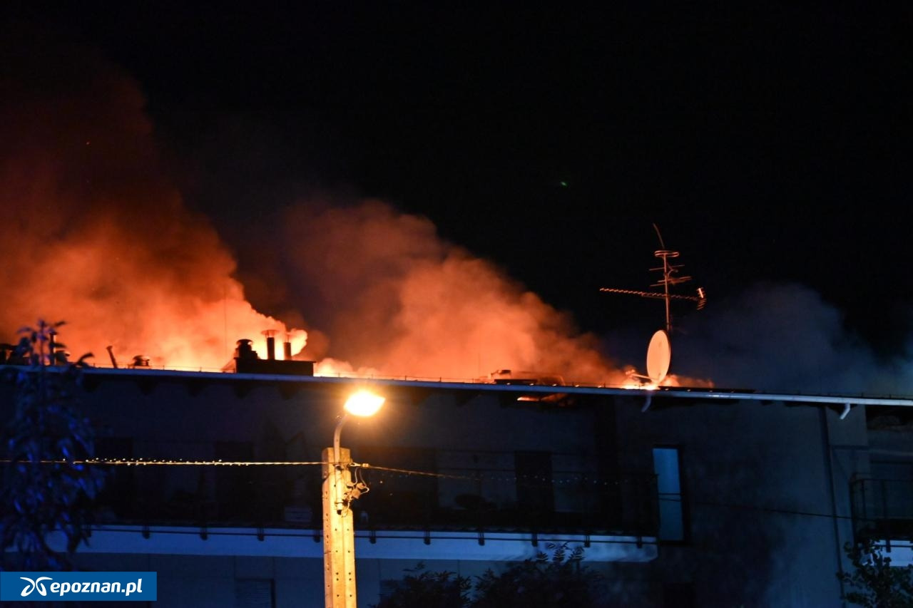 Co było przyczyną pożaru przy ulicy Krańcowej? Jest opinia biegłego