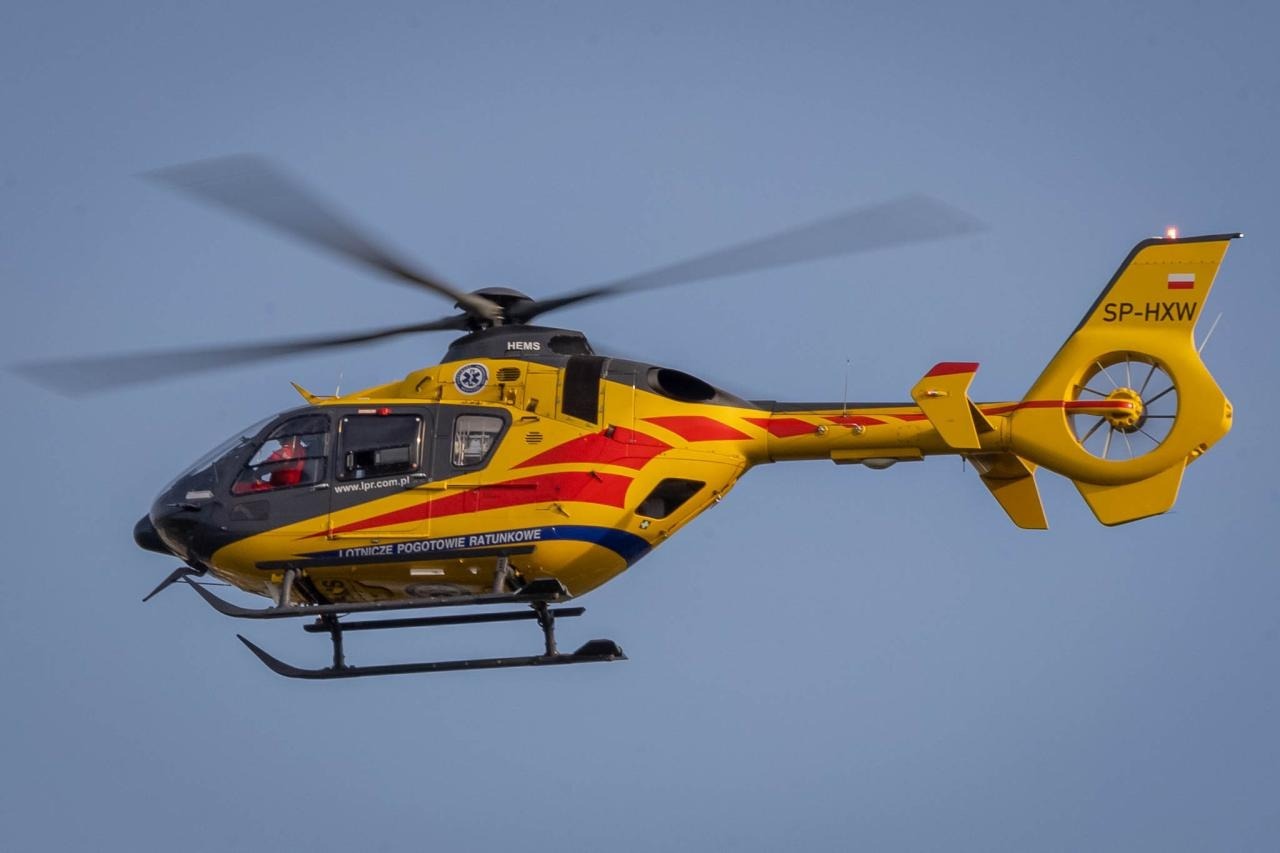 Fatalny wypadek w trakcie prac leśnych. Pracownik przygnieciony przez drzewo