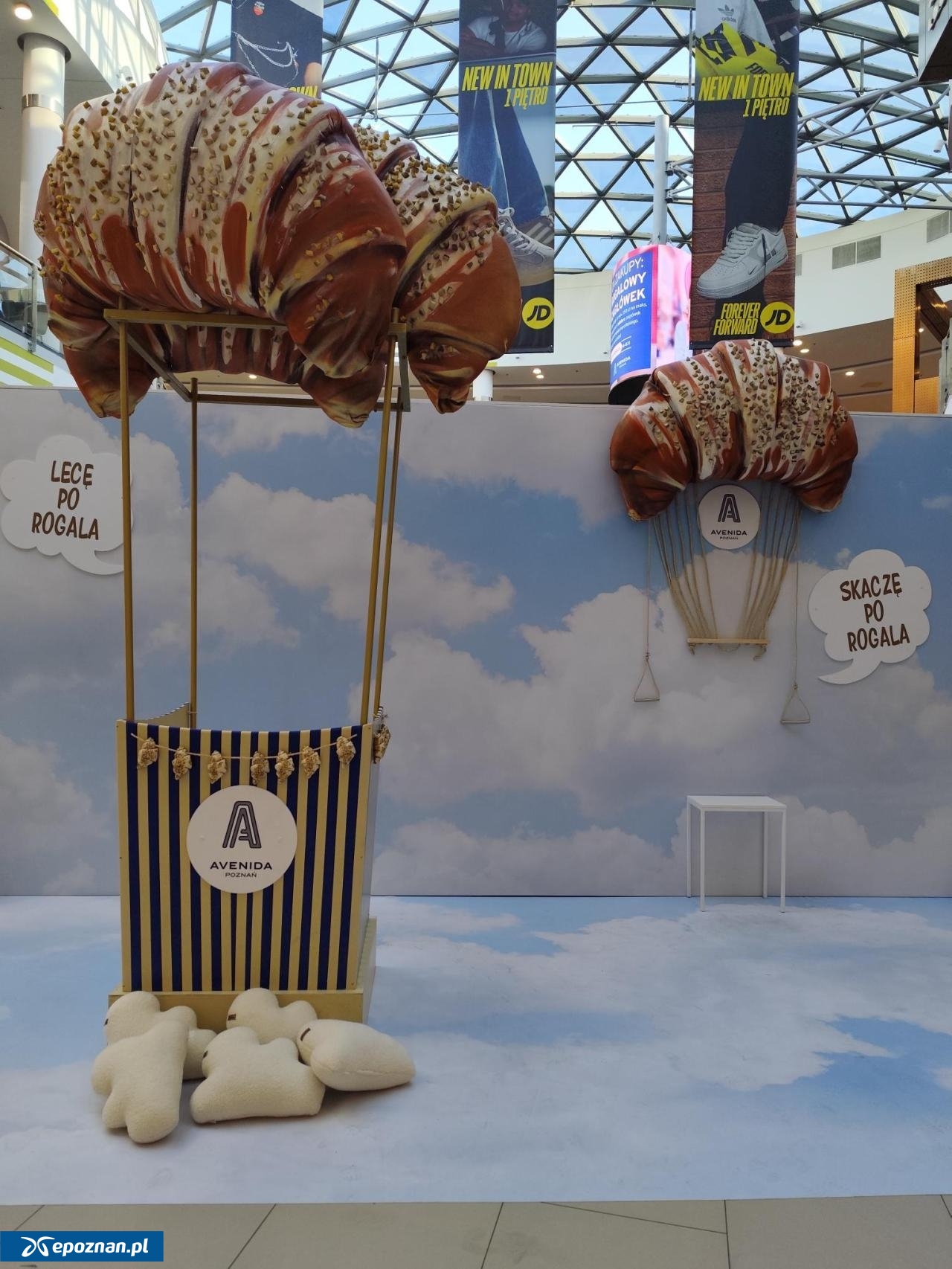 fot. Materiały prasowe