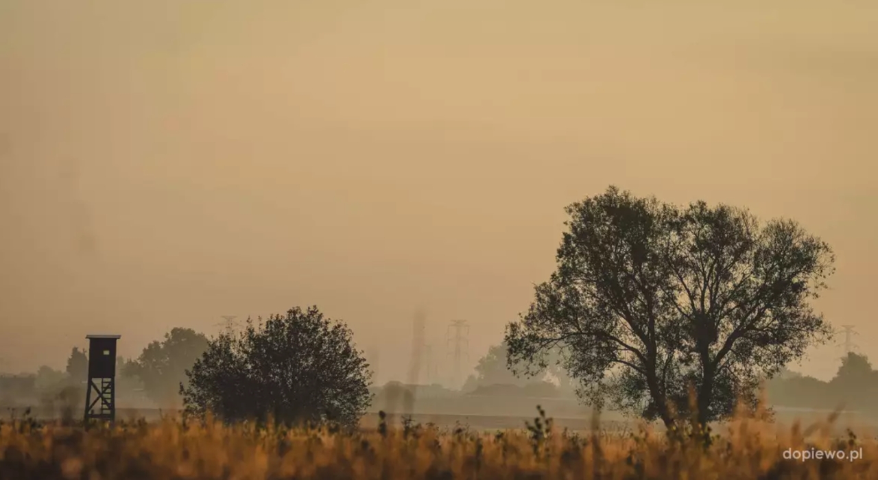 Podpoznańska gmina apeluje i ostrzega!