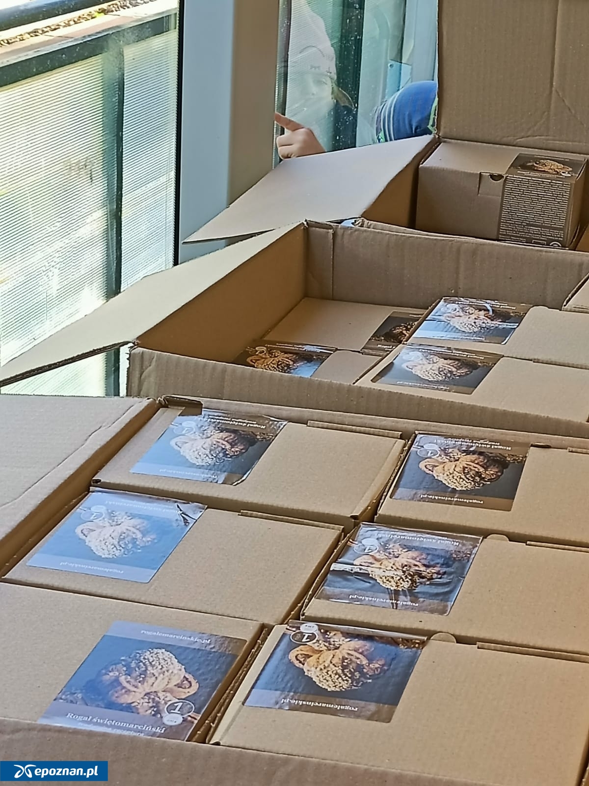 fot. Włodzimierz Hoppel